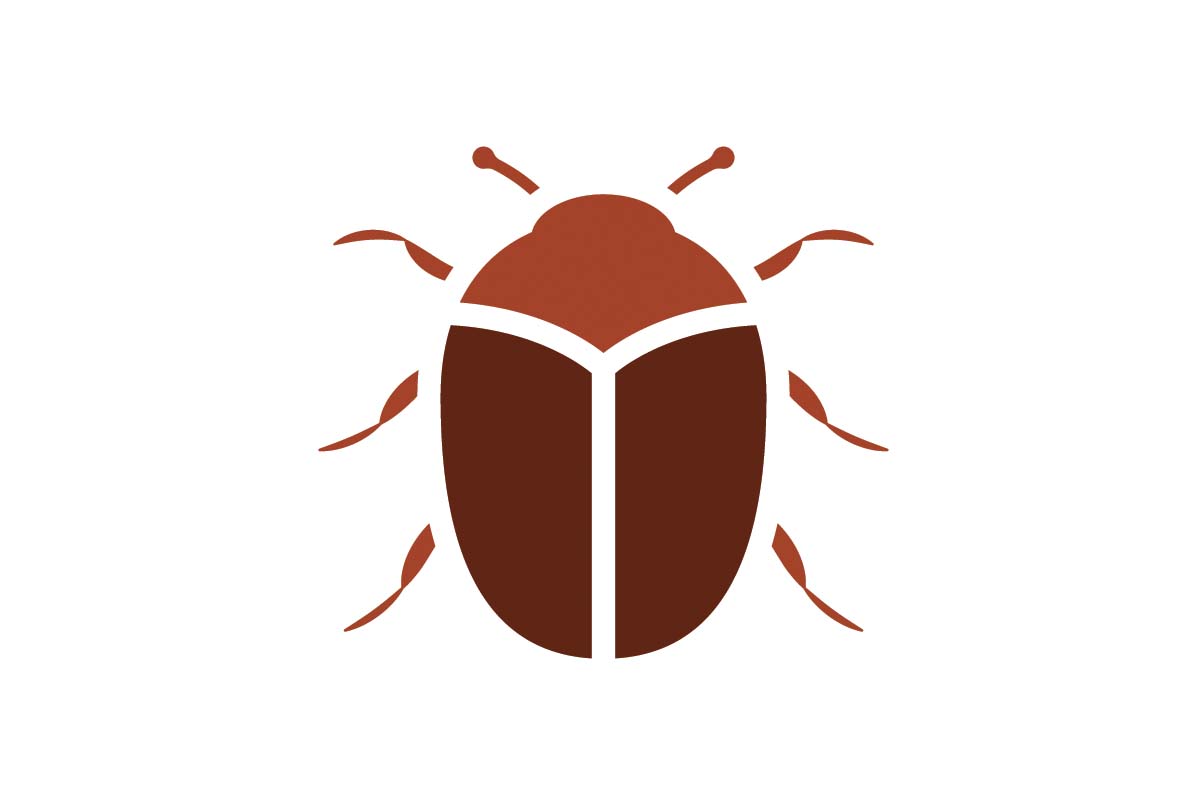 How To Get Rid of Carpet Beetles (Naturally) in Your Mattress and