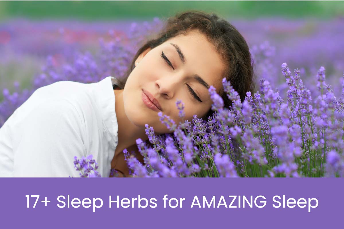 17 Best Herbs for Sleep